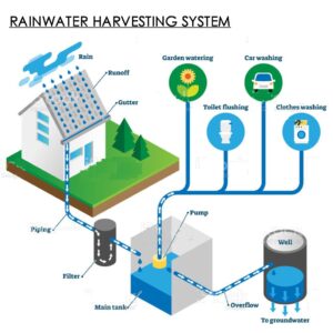 Rainwater Harvesting Solutions for Your Home