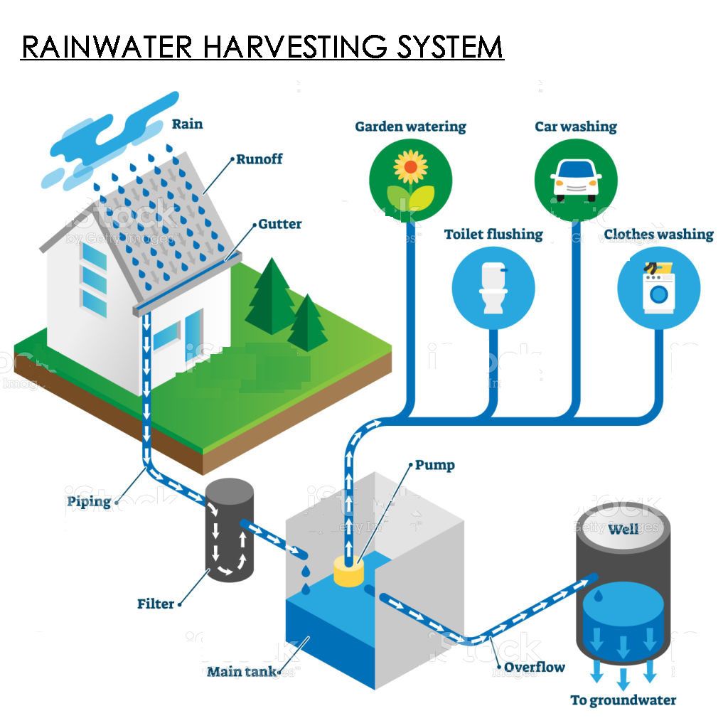 Rainwater Harvesting Solutions for Your Home