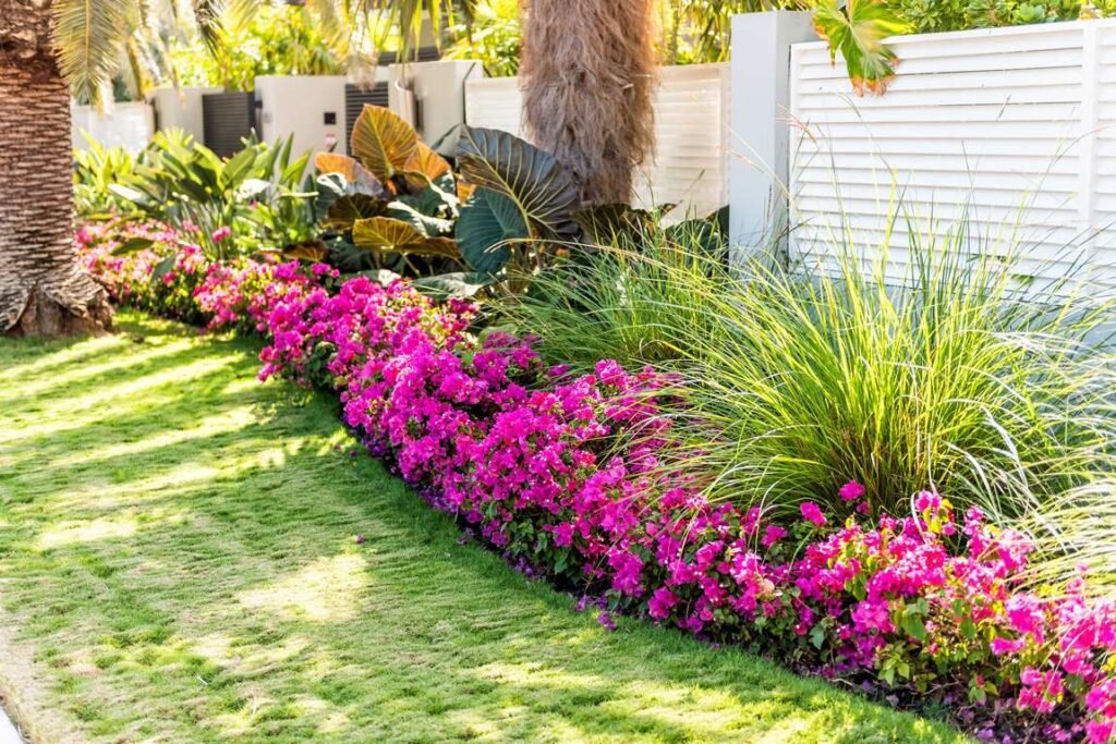 Best Plants to Enhance Your Homes Front Yard Landscape