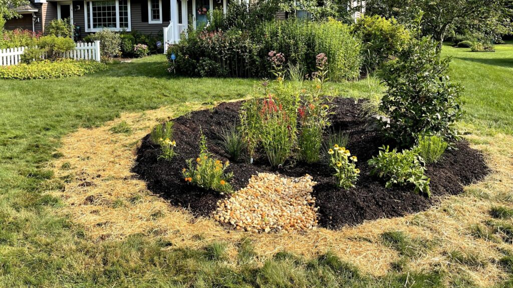 How to Install a DIY Rain Garden for Your Yard