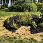 How to Install a DIY Rain Garden for Your Yard