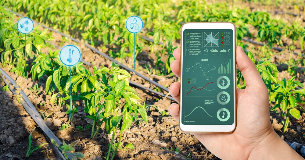 Smart Irrigation Systems to Save Water in Your Yard