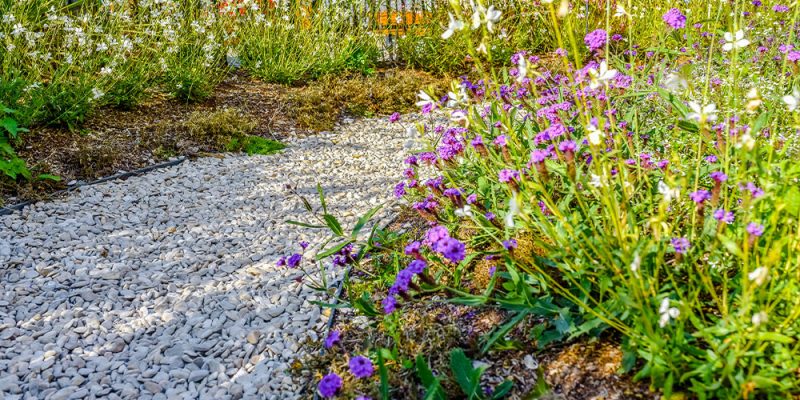 The Benefits of Gravel Pathways in Exterior Design