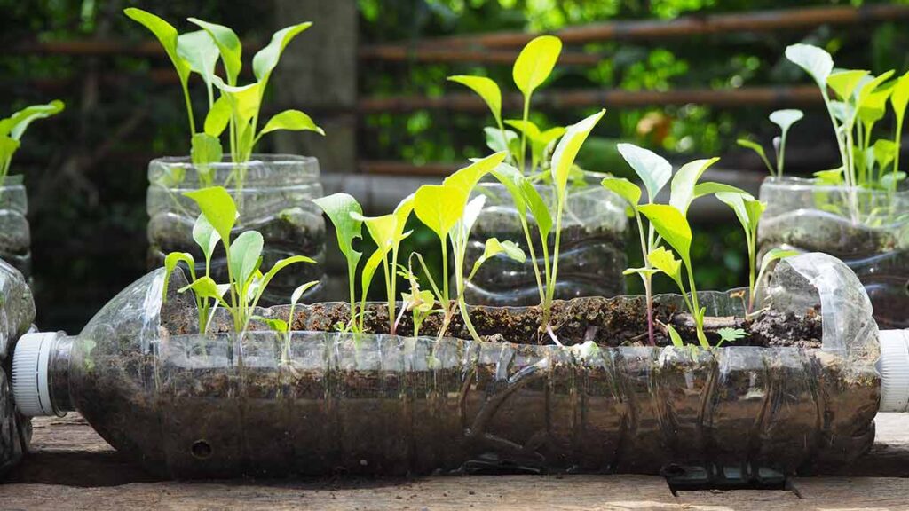 How to Create an Eco-Friendly Garden at Home