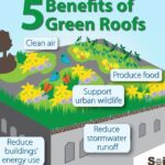 The Benefits of Green Roofs and How to Get Started