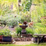 How to Create a Backyard Sanctuary for Relaxation