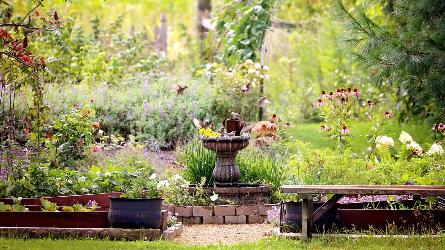 How to Create a Backyard Sanctuary for Relaxation