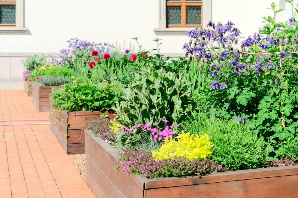 Edible Landscaping Ideas for Your Front Yard