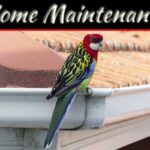 Essential Tips for Maintaining Your Homes Exterior Year-Round