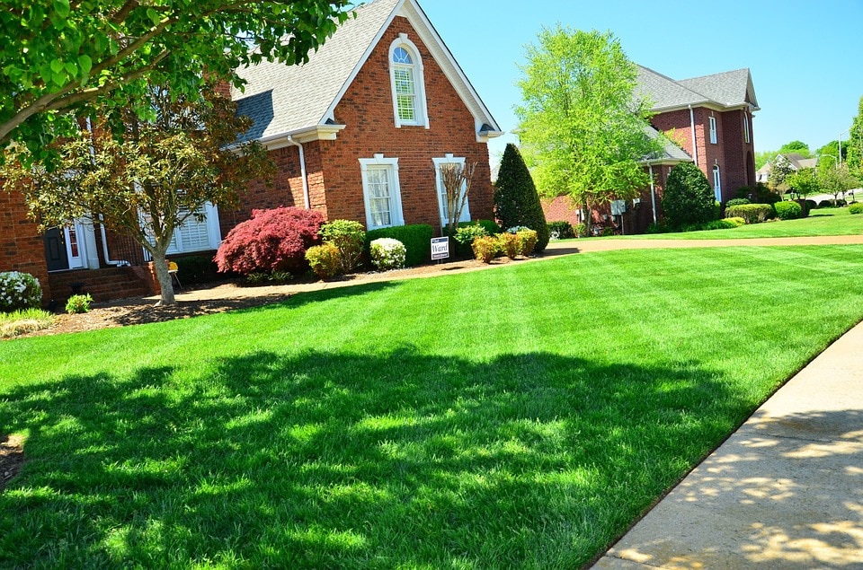 Summer Landscaping Ideas for a Vibrant Yard