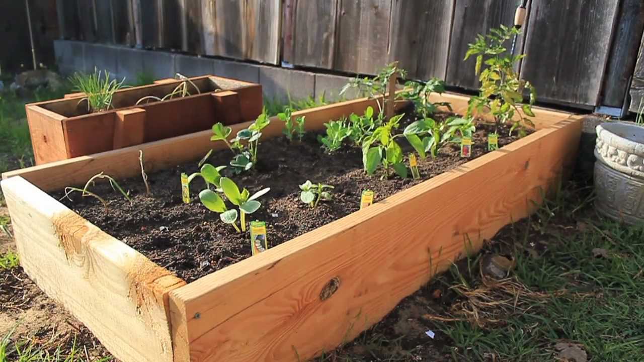 Build Your Own Raised Garden Beds for a Stunning Yard