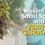 Creating a Vertical Garden for Small Spaces