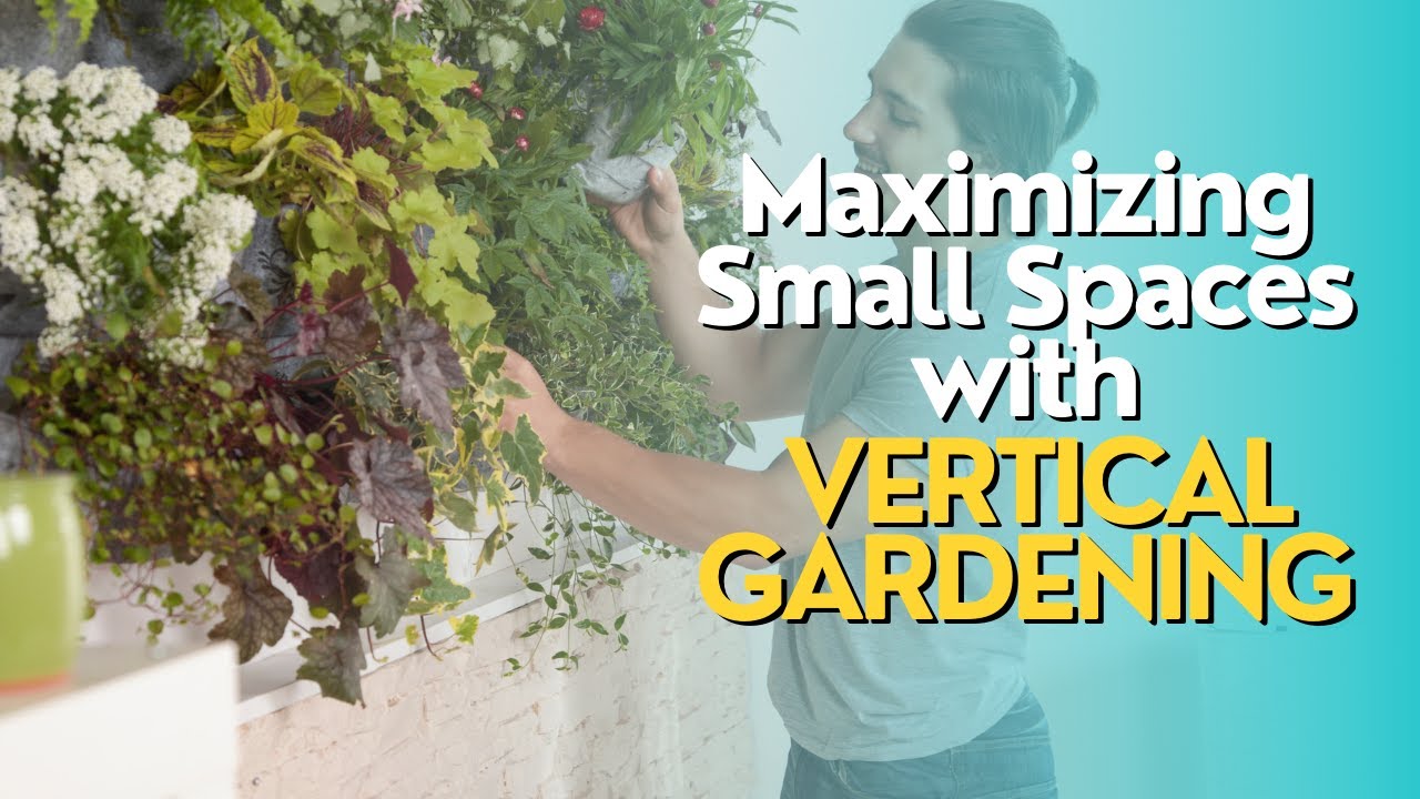 Creating a Vertical Garden for Small Spaces