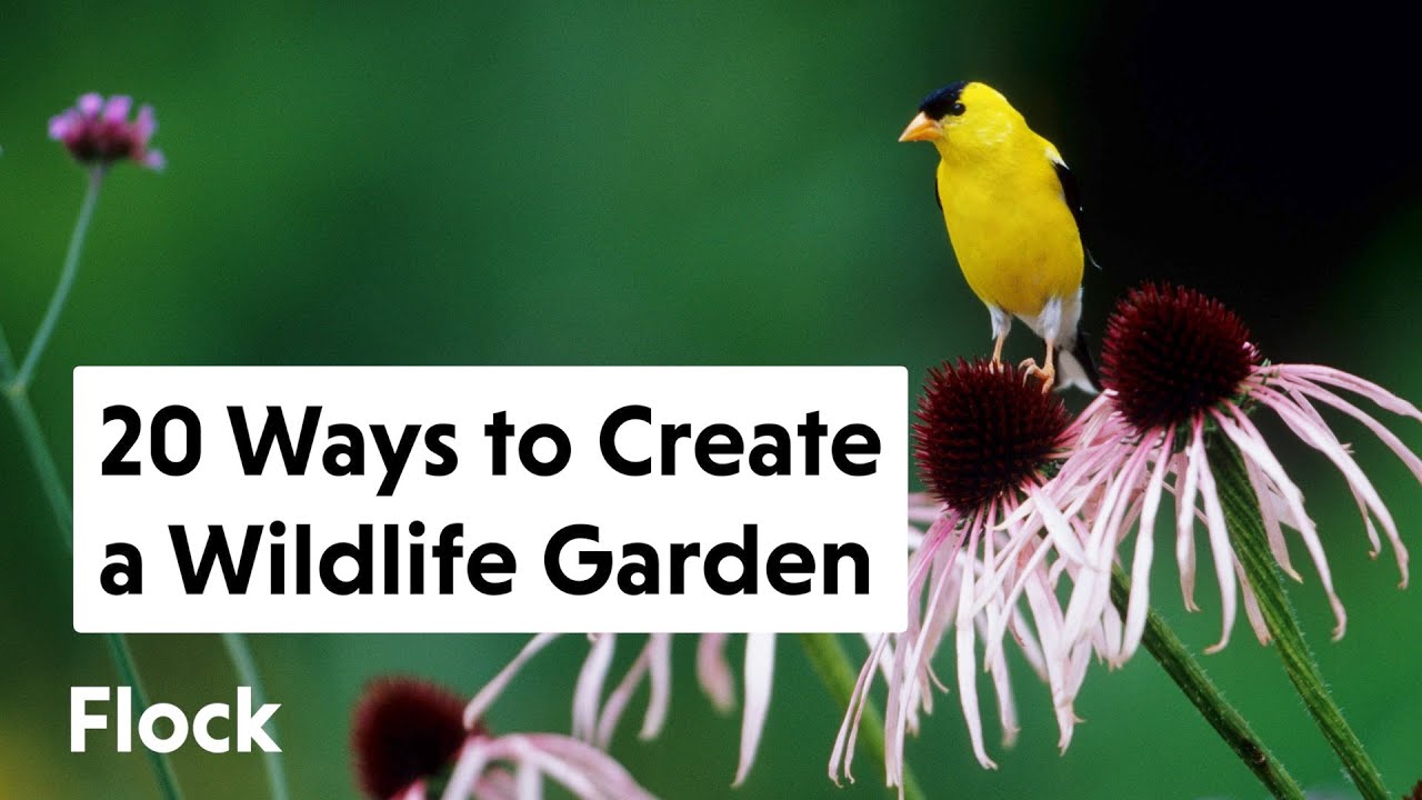 How to Attract Wildlife with Your Yard Design