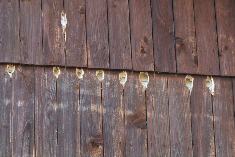 How to prevent damage to siding during landscaping projects