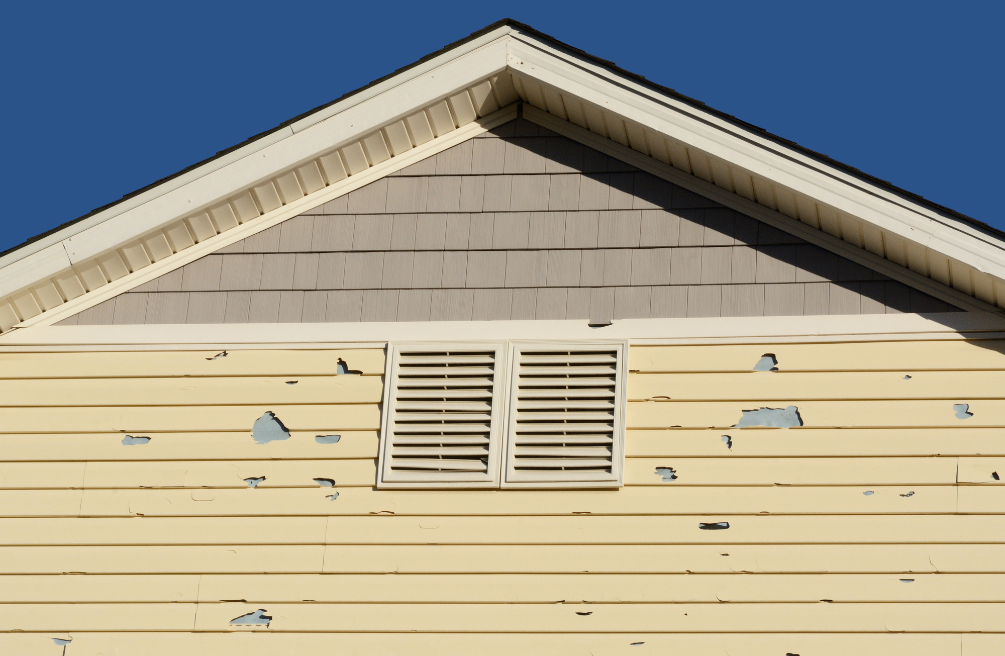 Best practices for preventing insect infestation and damage to siding